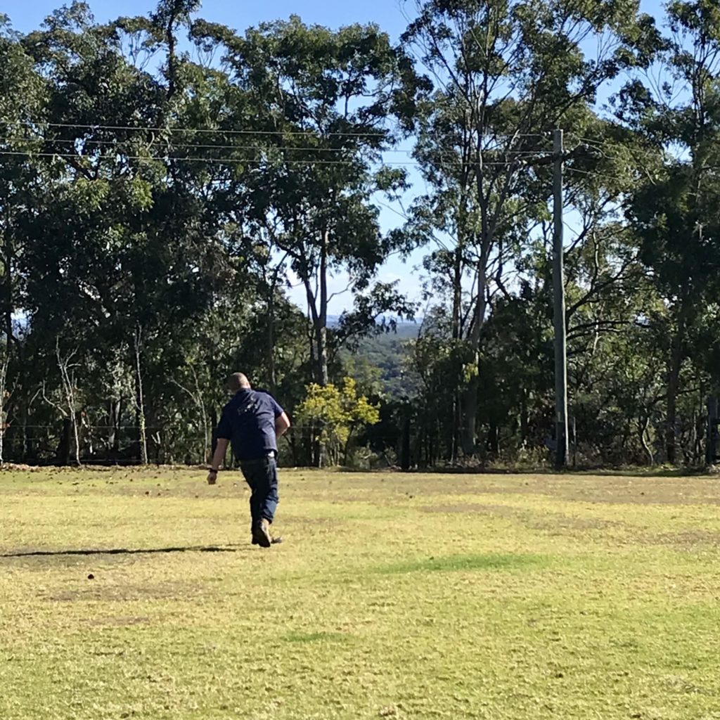 ブーメランを投げた男性