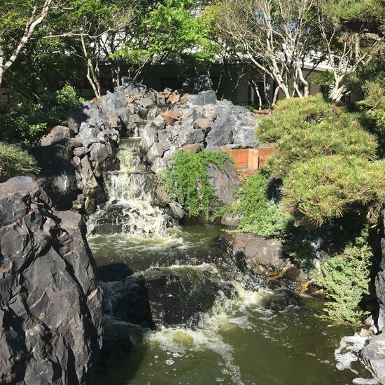 江戸川記念庭園　ゴスフォード