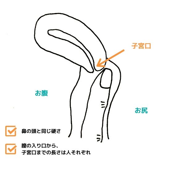 月経カップ